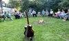 Lagerfeuer in Zenting